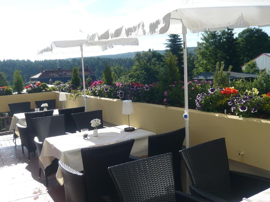 Hotel Falkenstein Falkenstein  Zewnętrze zdjęcie